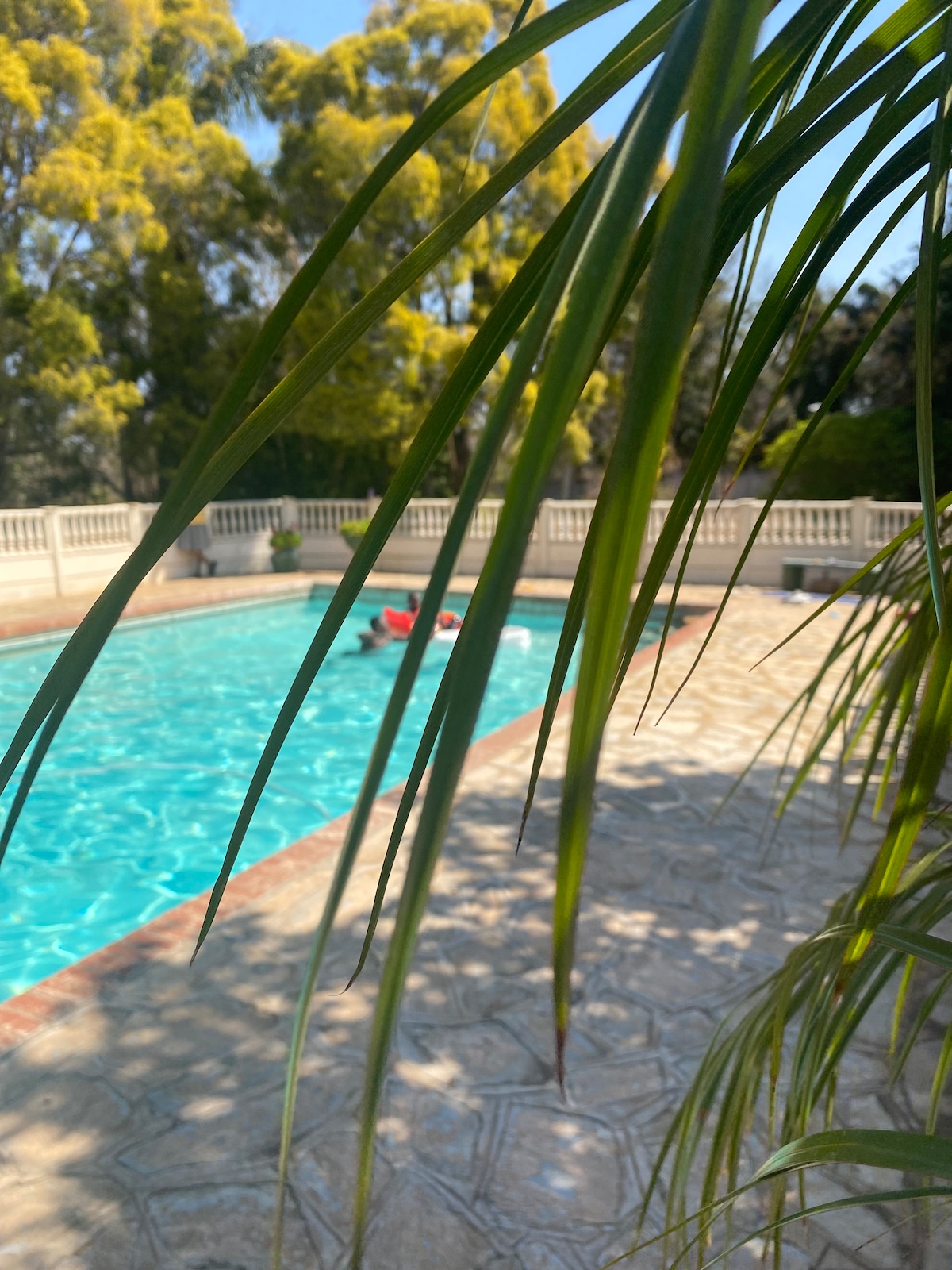 A vibrant swimming pool is visible, surrounded by textured stone flooring. Tall green plants frame the image, creating a natural border. Two individuals are seen enjoying the water, adding life to the tranquil setting.
