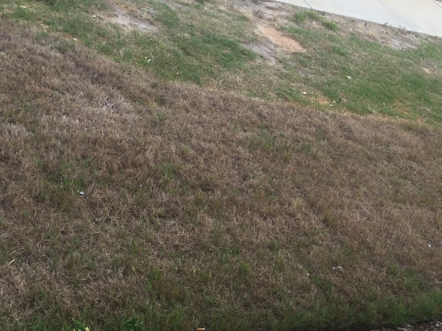 Flat leveled area for your tent