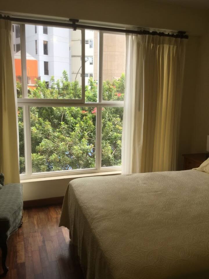 Second bedroom view of tree out of large window, new curtains.