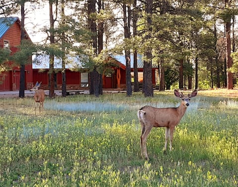 Peaceful Retreat Studio