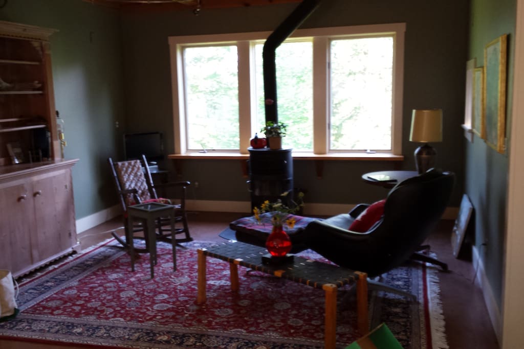 Wood stove, cozy furnishings, not a curtain in the place!