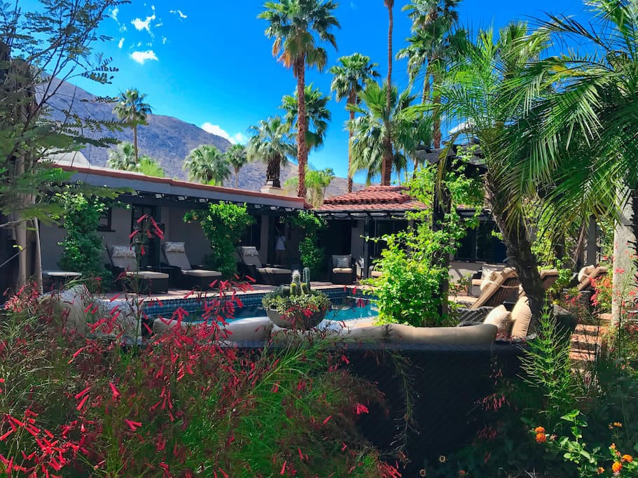 Calm Oasis