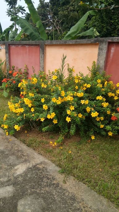 Jardin