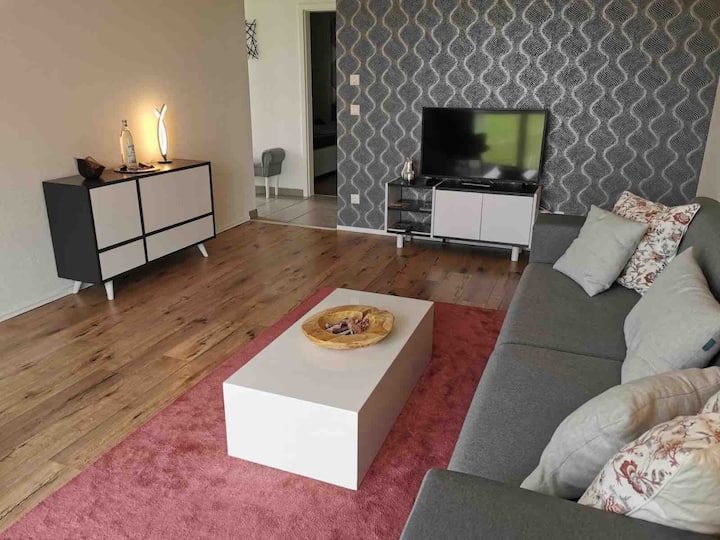 ТВ, вклучувајќи бесплатен Netflix, во ТВ плакарот различни документи во врска со регионот.

Во левата странична табла, повеќе садови и разни