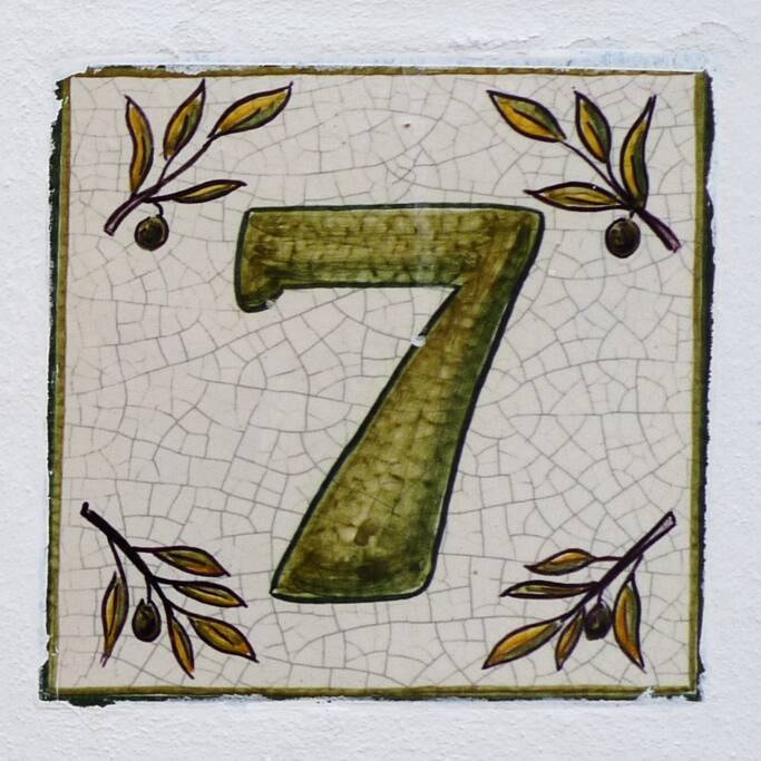 Nr 7