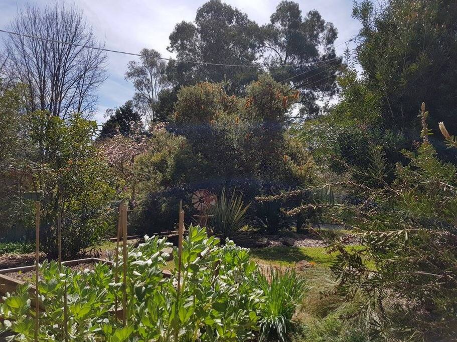 Gardens