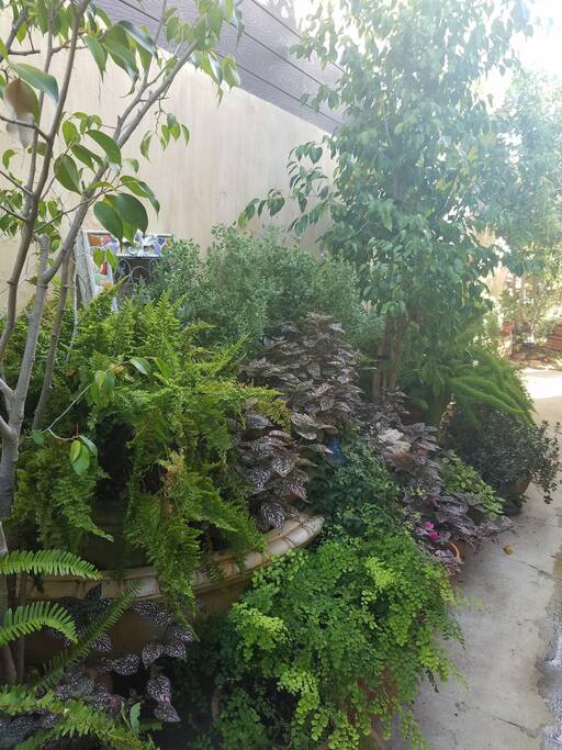 Outside of Private Entrance