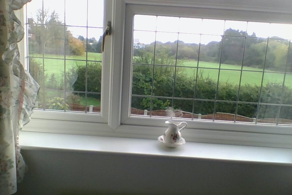 View from twin room