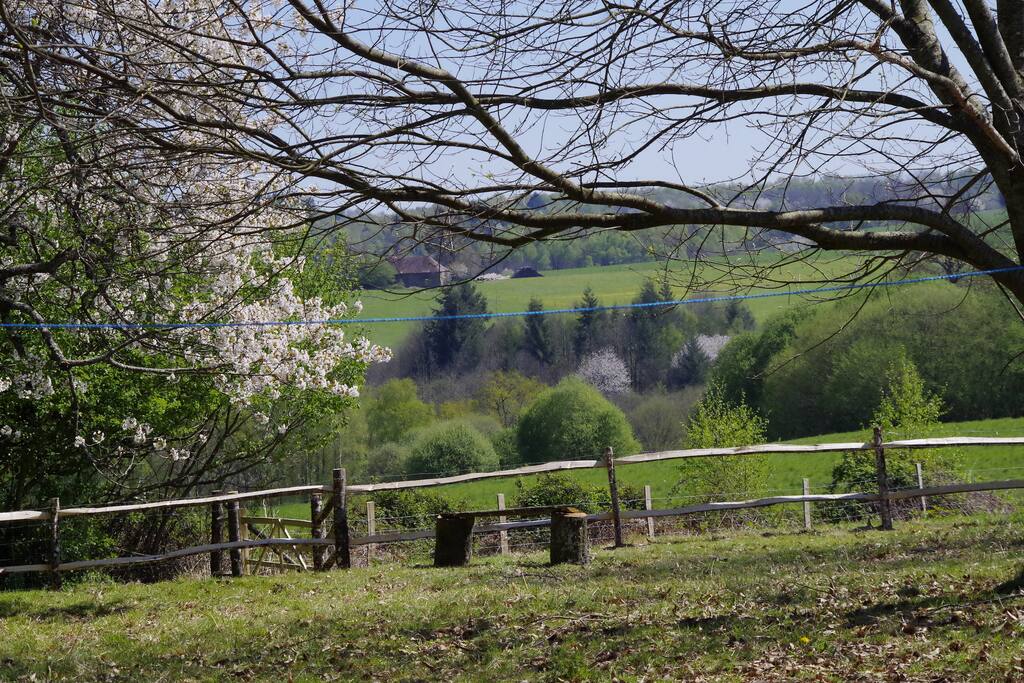 Other side of the orchard, views over the open countryside.