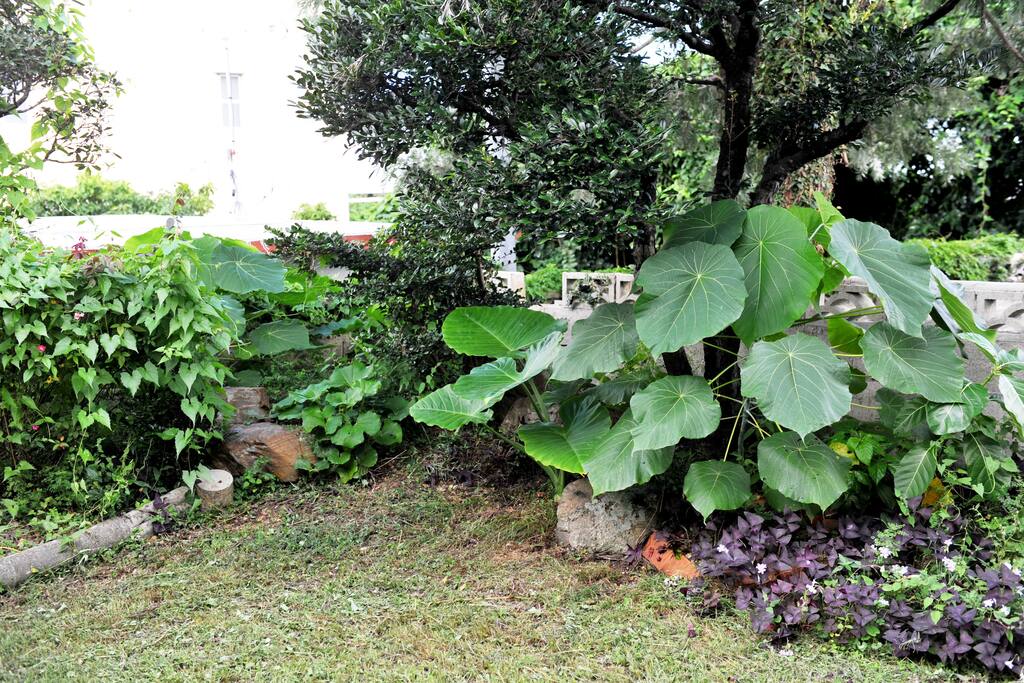 Green Garden