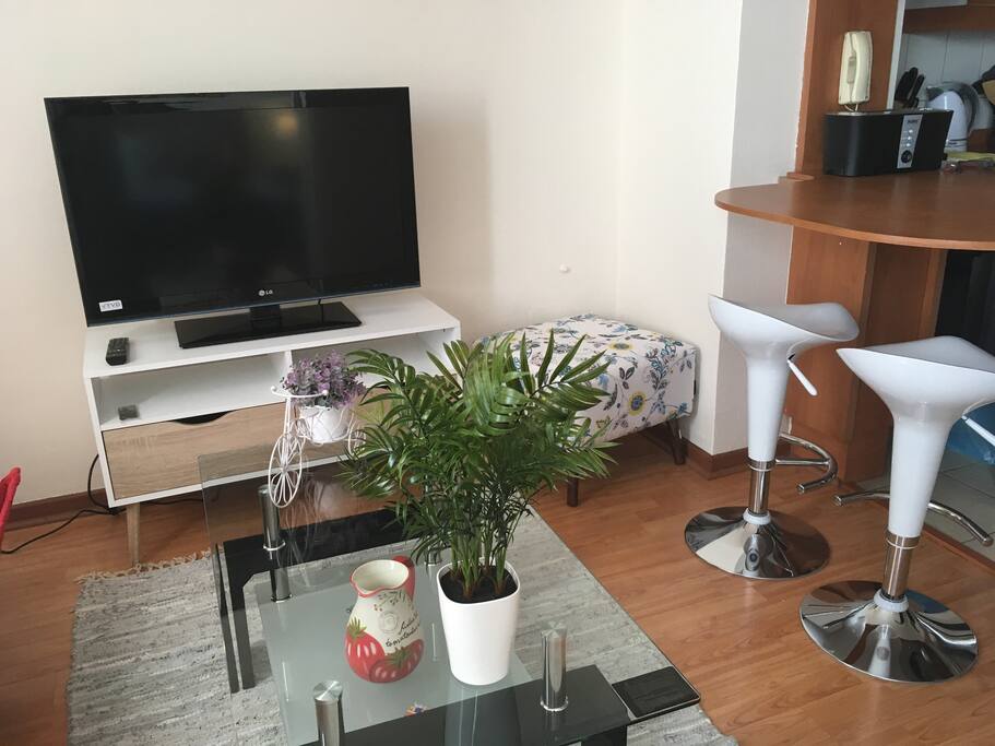Sala de estar, TV cable 80 canales