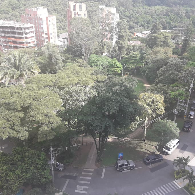 Hermoso Parque enfrente