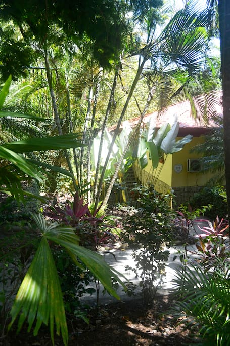 View of our home from entrance pathway