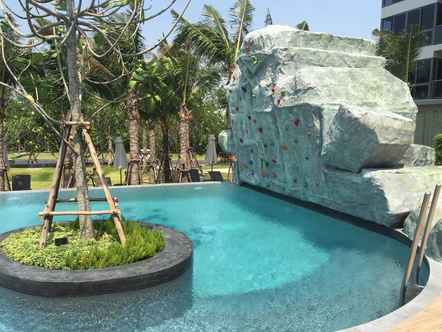 This climbing wall!