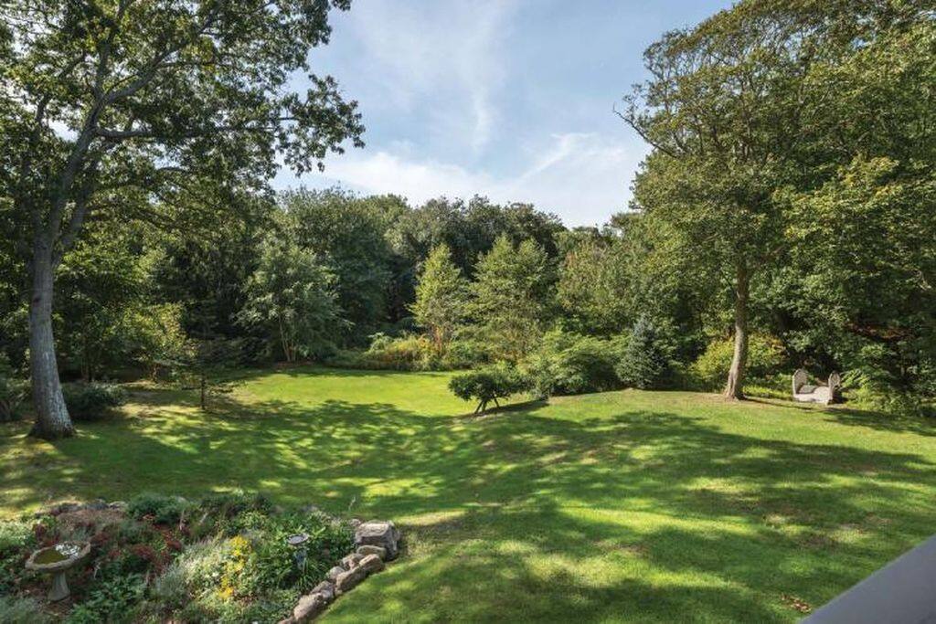 2.5 acre backyard
