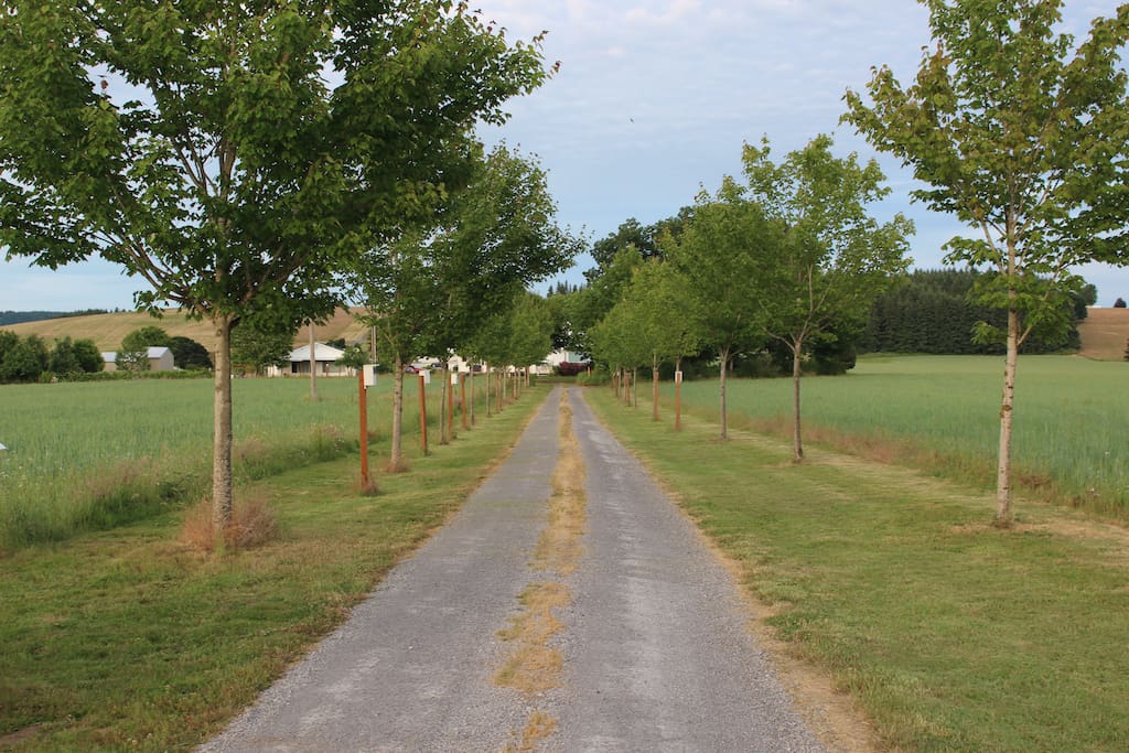 The road to your next adventure (the driveway to the residence).