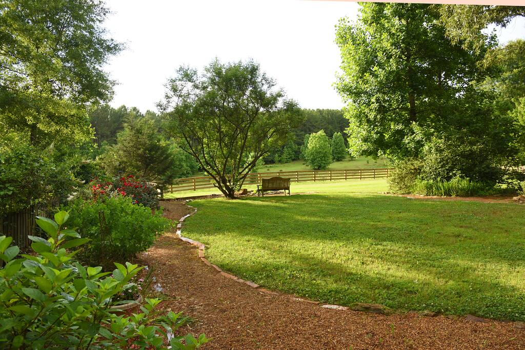 View of lawn from studio