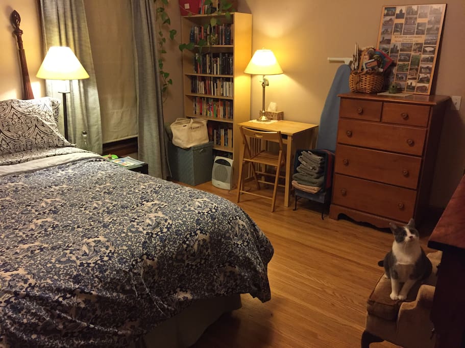 Another view of the bedroom. (That's Izzy on the chair, ready to welcome you.)