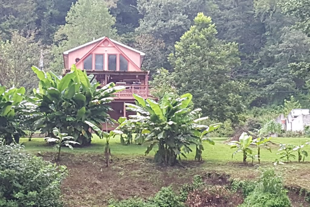View of House from river