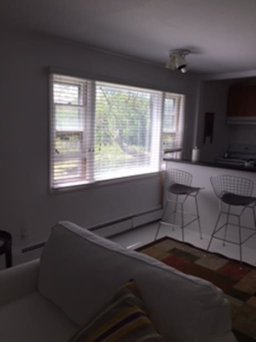 Kitchen window