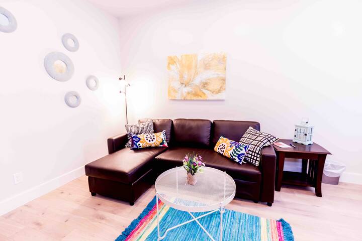 Beautiful Queen West Apartment With Deck Parking Flats For