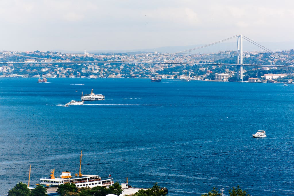 view