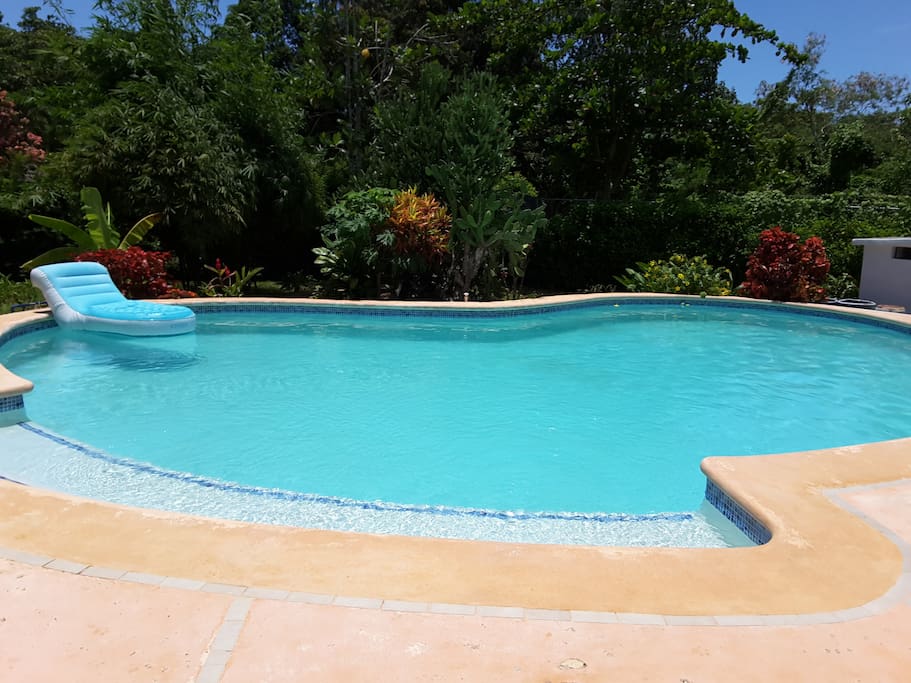 Superbe piscine