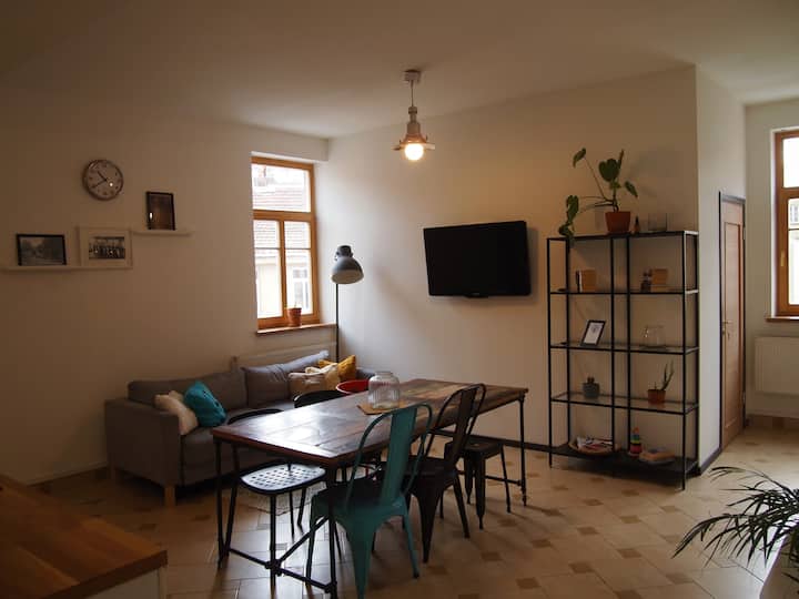 Spacy And Cozy 5 Bedroom Aprtm In Vilnius Oldtown. - Vilna