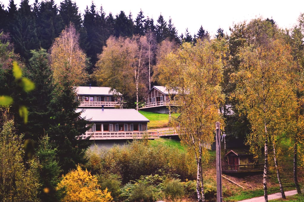Chalets en autonme