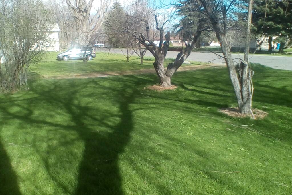 Front Yard