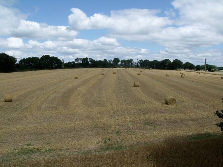 La vue depuis la fenêtre de la chambre