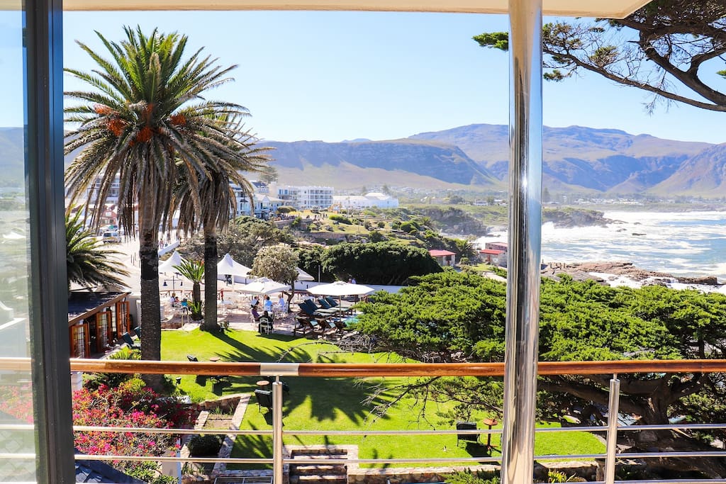 VIEW FROM DINING ROOM