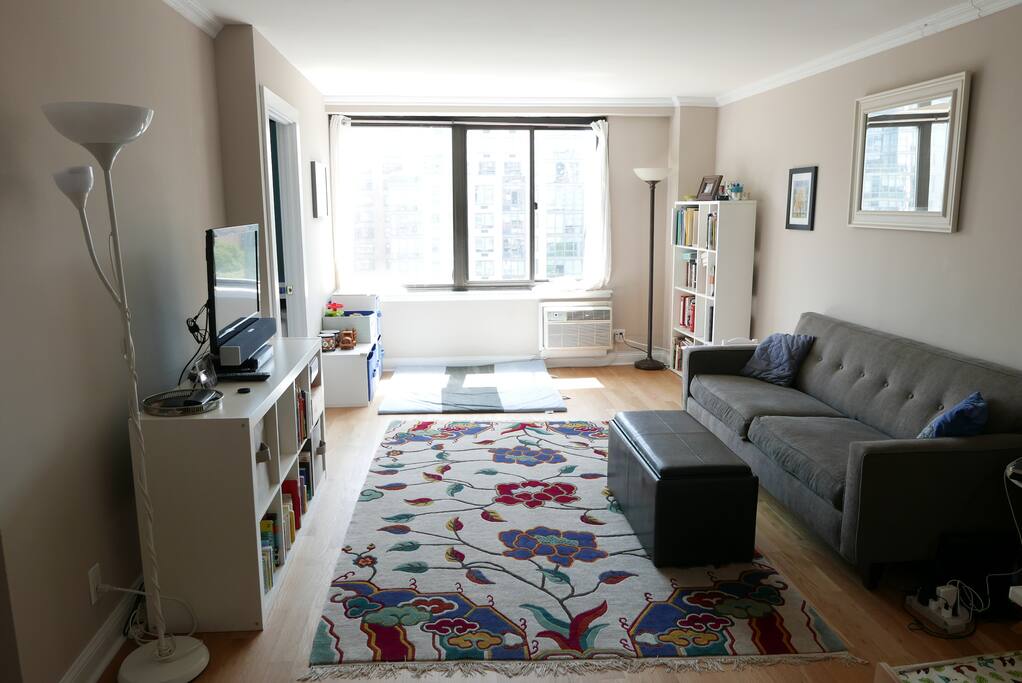 Living room with view of Central Park and A/C.
