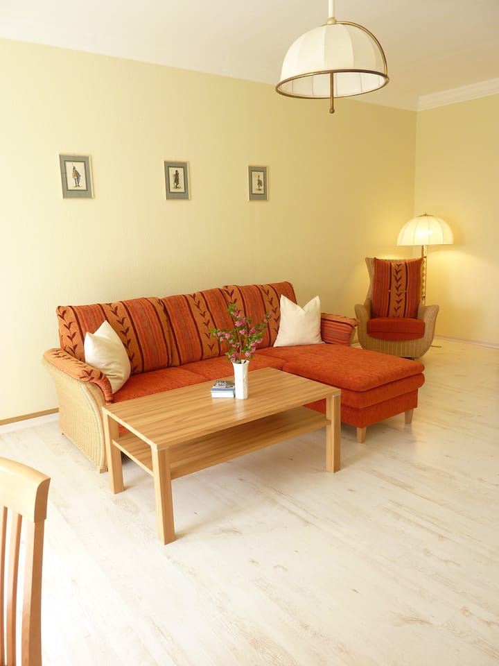 أريكة في غرفة المعيشة