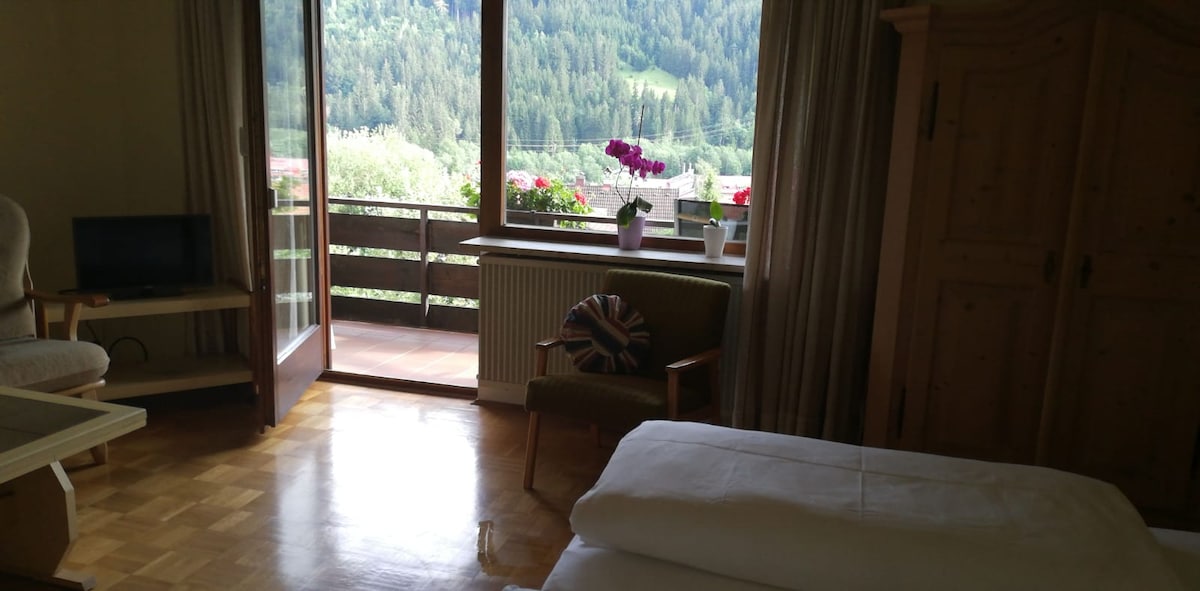 A spacious room is shown with a large window offering a view of lush greenery and distant mountains. A small television is placed on a wooden unit, while a comfortable armchair and a rustic wardrobe add to the decor. A balcony can be accessed through the glass door.