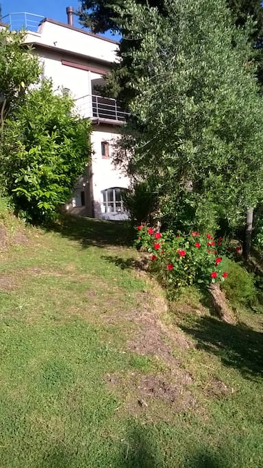 esterno