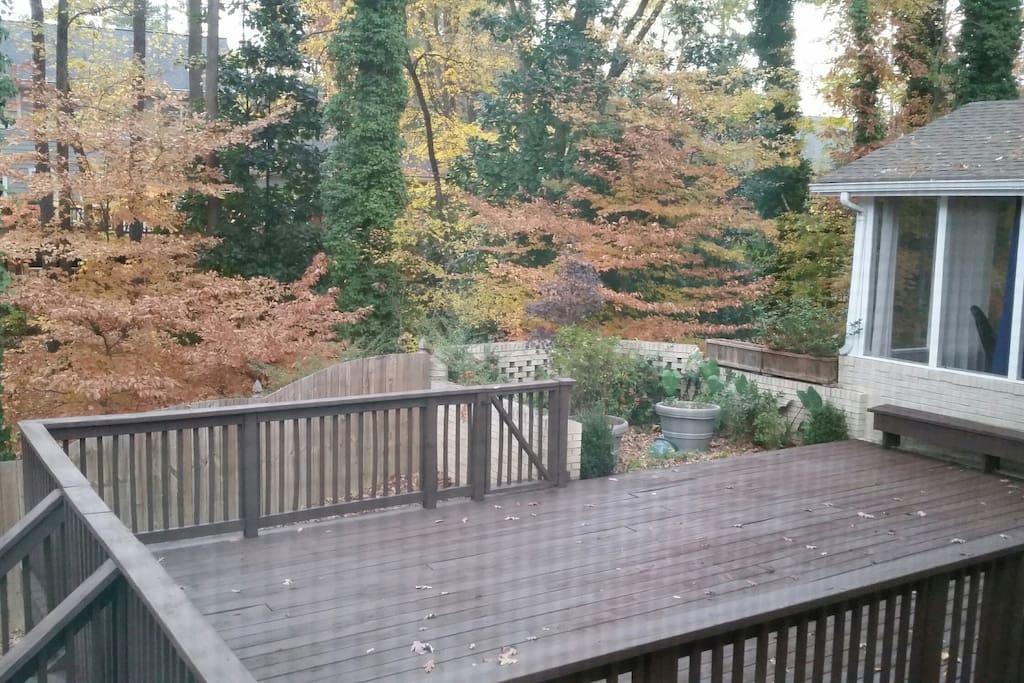 Backyard Deck
