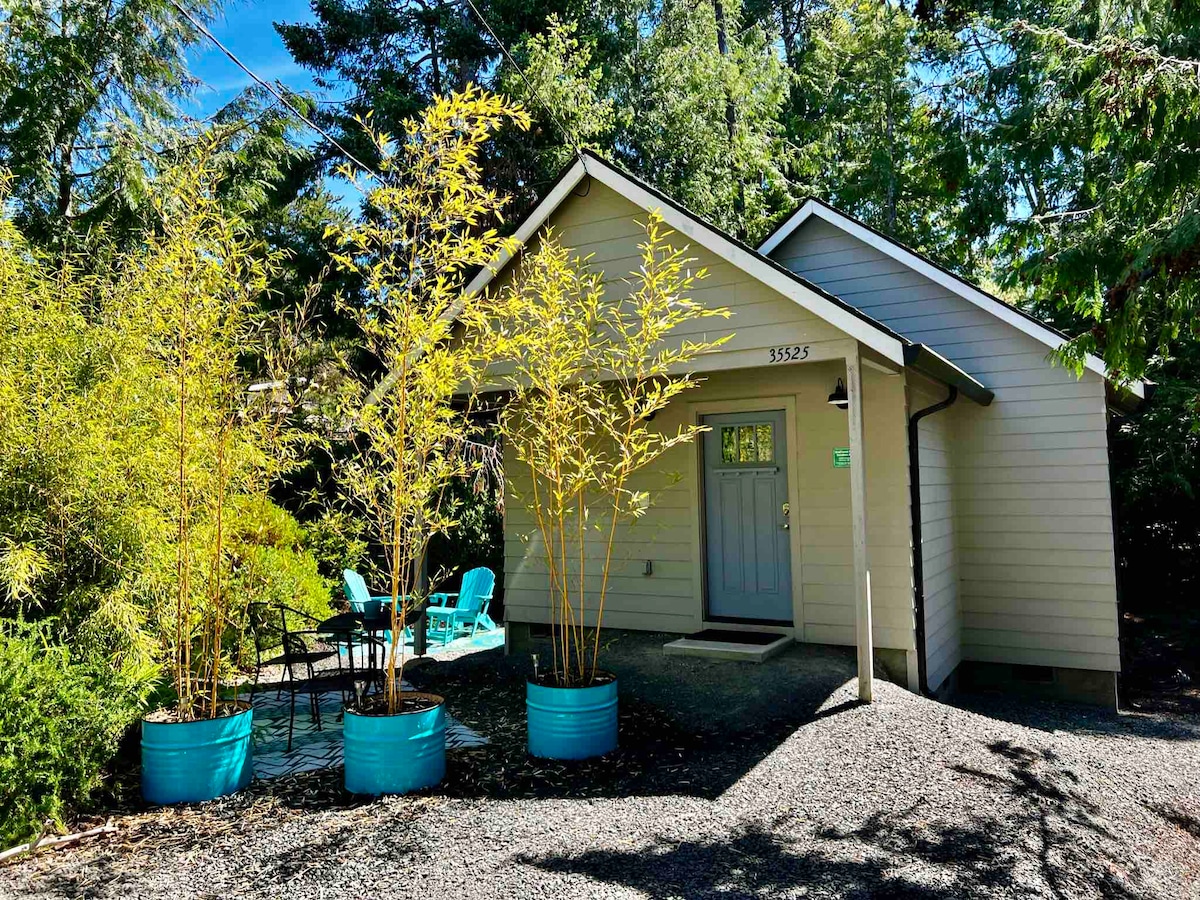 The exterior of the house is viewed, showcasing a modern design with a peaked roof. Vibrant blue planters filled with bamboo are positioned at the front, alongside a small seating area equipped with bright blue chairs. Lush greenery surrounds the property.