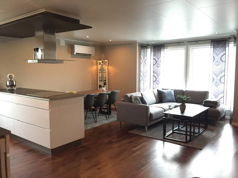 Livingroom and kitchen area