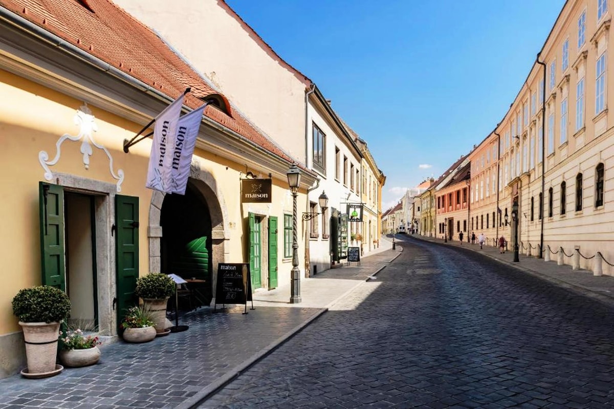 A charming street view captures the façade of a historic building, featuring large green doors framed by stone. Planters with greenery enhance the entrance, while the cobblestone road extends into the distance, lined with quaint buildings reflecting local architectural style.