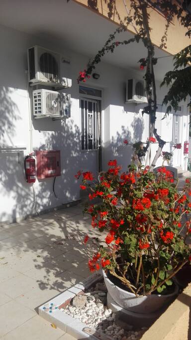 PATIO ESTERNO