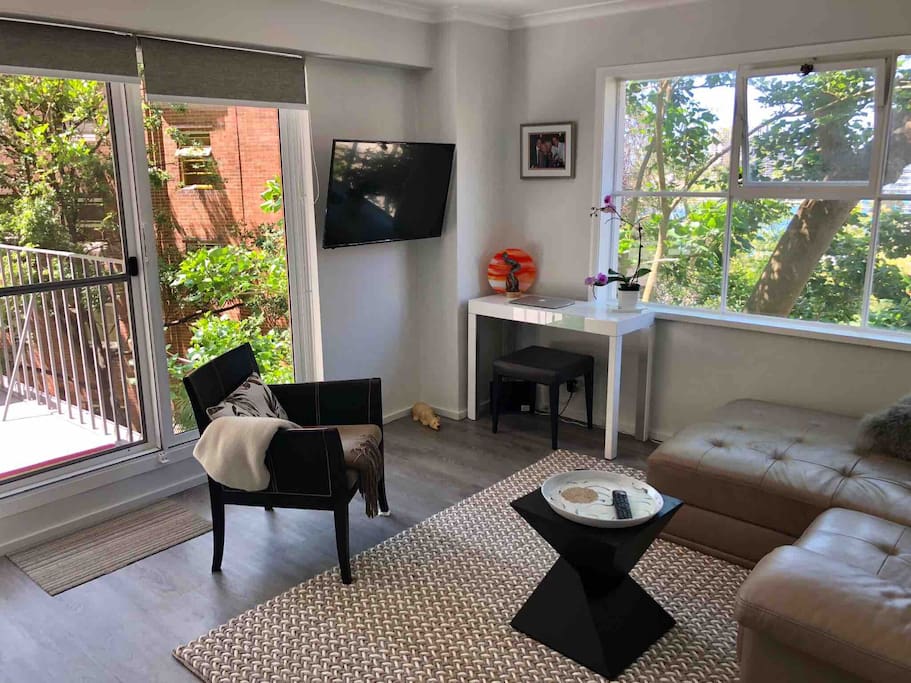 Light filled lounge room with filtered views through to Elizabeth & Rushcutters Bays