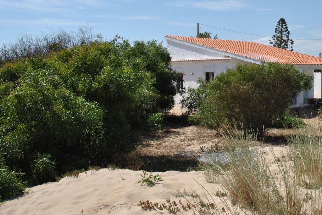 Casa vista dalla spiaggia