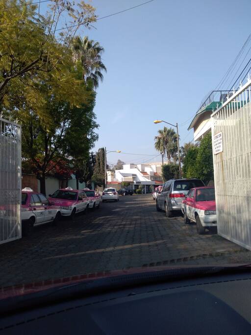 Bosques de el Salvador. A unos pasos de tu descanso.