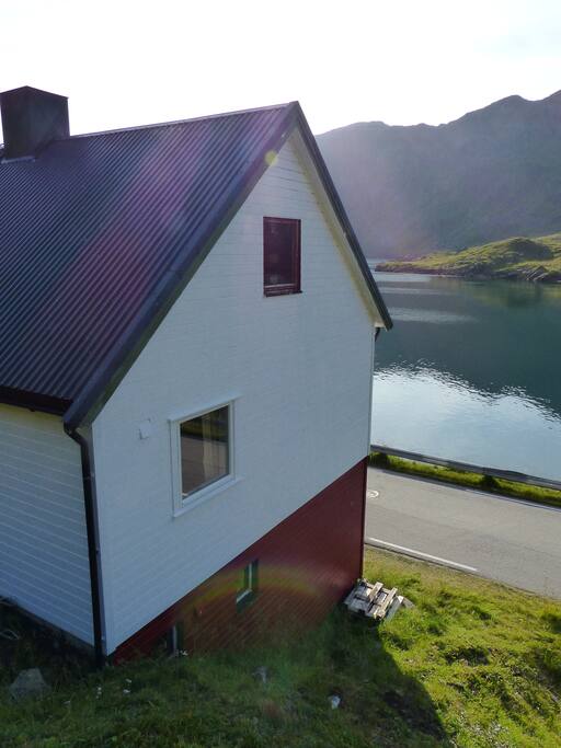 Blick auf den Risfjord im Sommer