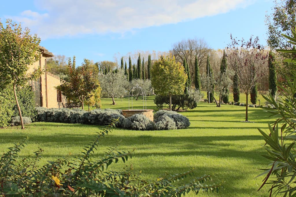 Garden
