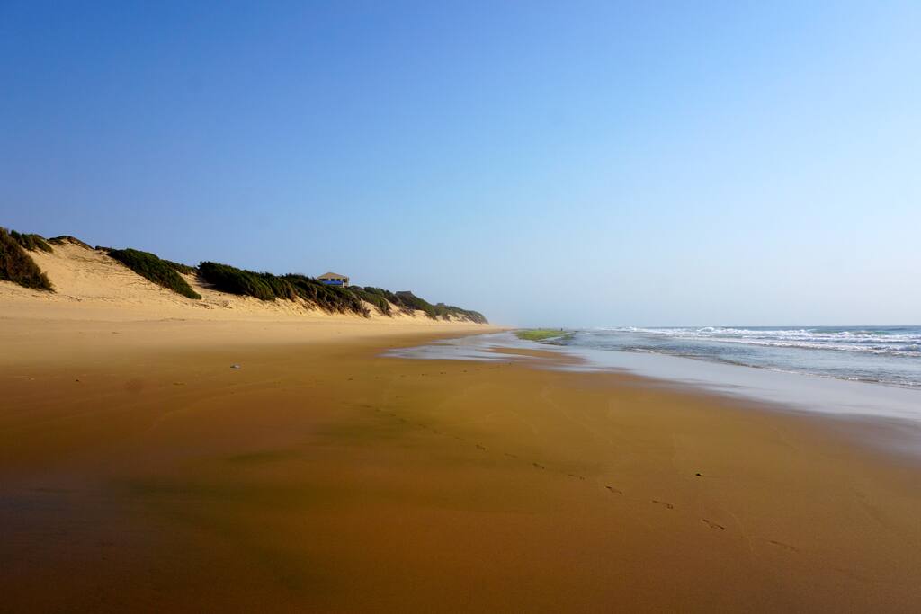 Soft white sand and warm Indian Ocean packed with sealife including whales, whale sharks, mantas and even orcas!