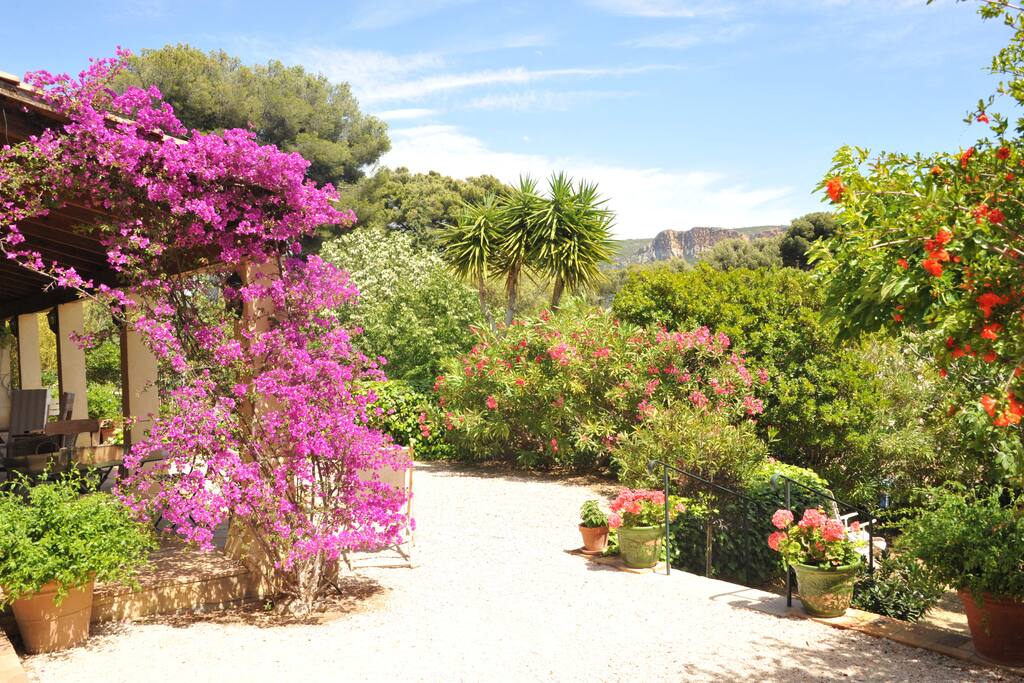 jardin arboré de la propriété