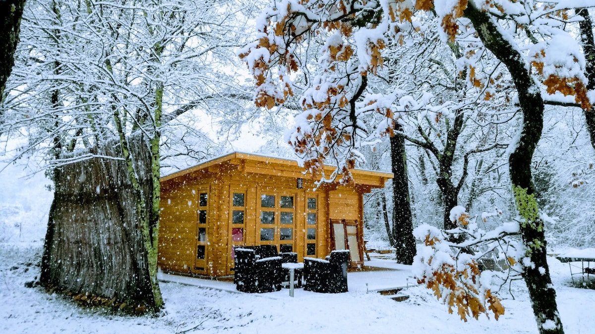 A wooden lodge is surrounded by a snowy landscape, partially hidden by trees. Soft snowflakes fall gently, coating the ground and branches. Outdoor seating is visible on the porch, providing a cozy spot to enjoy the serene winter scenery.