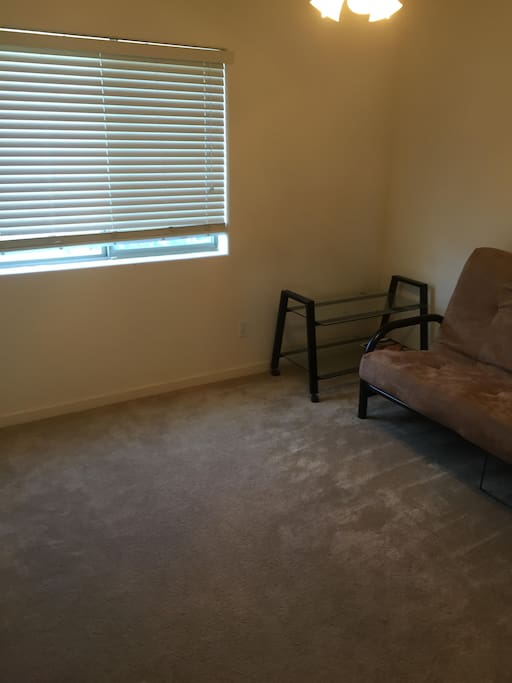 second bedroom with pull out couch